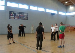 Seminarium Krav Maga w Hali Sportowej - pokaz i nauka samoobrony