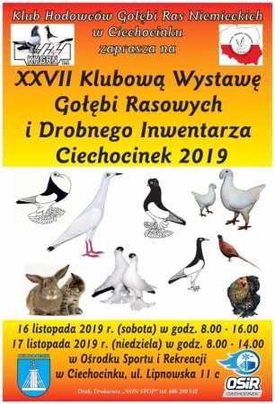 Wystawa Gołębi Rasowych i Drobnego Inwentarza Ciechocinek 2019