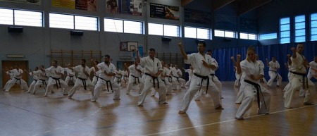 Seminarium Kata i Combat