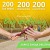 200 KILOMETRÓW NA 200 LAT TĘŻNI SOLANKOWYCH